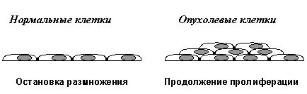 Неопластический характер образования