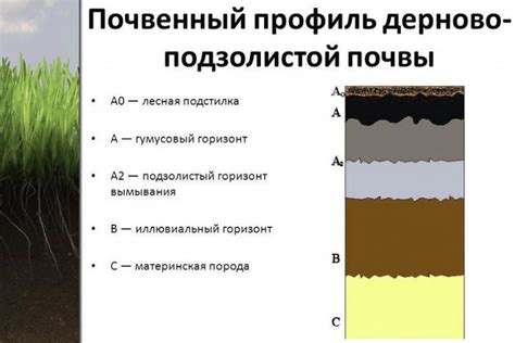 Неподходящие условия почвы