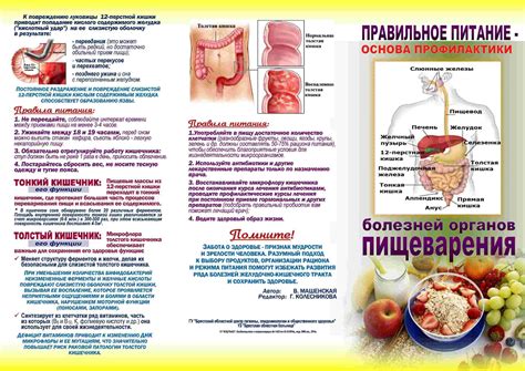 Неправильное питание и желудочно-кишечные проблемы