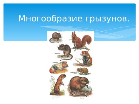 Неприятные ощущения: связь между звуками грызунов и дискомфортом в жизни