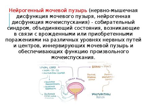 Нервно-мышечная дисфункция