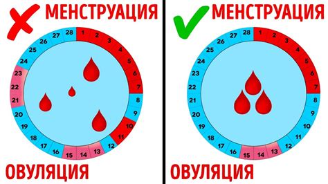 Нерегулярный цикл месячных