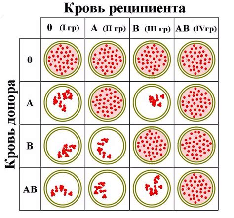 Несовместимость для зачатия ребенка