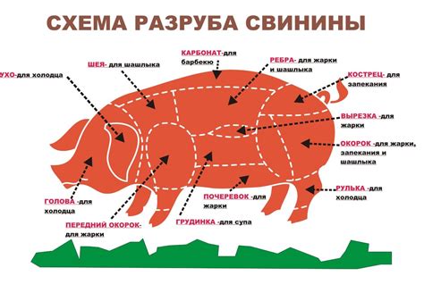 Несортовой разруб свинины: для чего он используется?