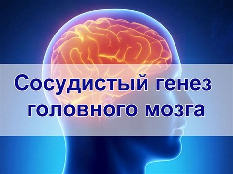 Неспецифический генез: что это и каково его значение?