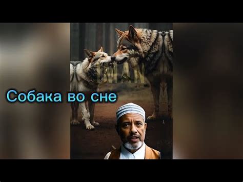 Несущие символы: тайна сна о воплощении блондинки