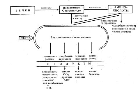 Неудачная фиксация