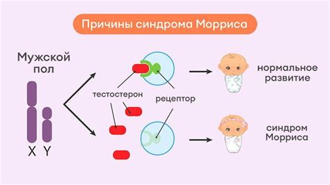 Нечувствительность к андрогенам: причины и симптомы