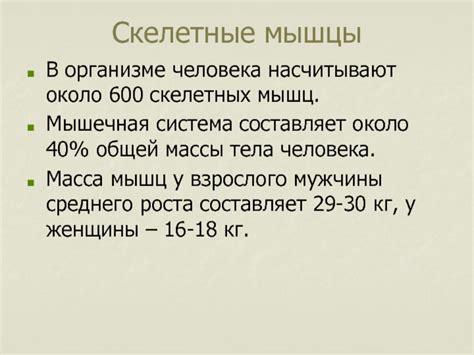 Не верьте мифам: что составляет скелетные мышцы?