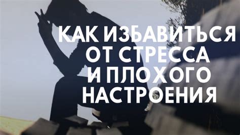 Не нужно паниковать: как избавиться от ненужных стрессов