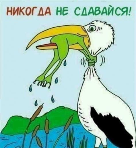 Не сдавайся никогда!