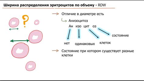 Низкий MCV как симптом