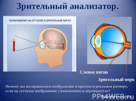 Низкое давление и его влияние на зрительный орган: основная проблема и симптомы