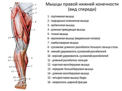 Ноги быстрые: смысл и значимость