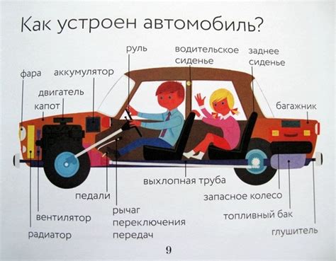 Номер автомобиля: основные компоненты