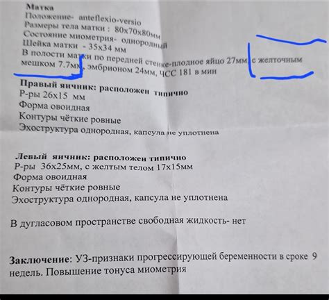 Нормальные показатели гипоэхогенного желточного мешка