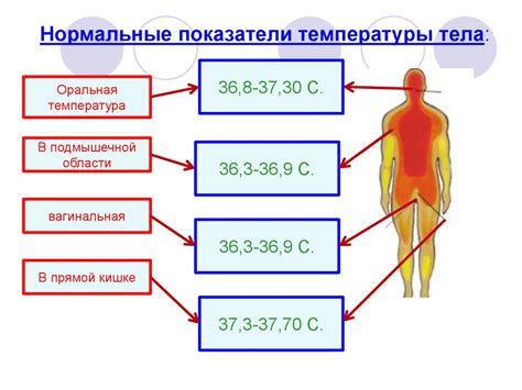 Нормальные показатели температуры тела