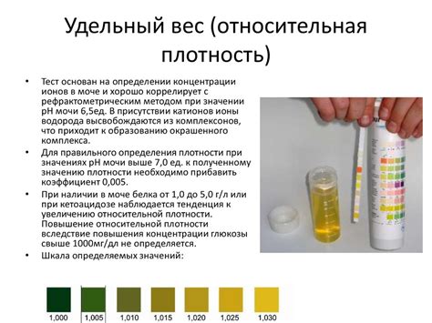 Нормы удельного веса мочи