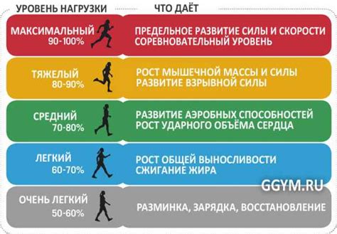 Нормы частоты пульса в покое и во время физической активности