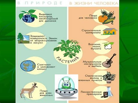 Нравственная чистота: понятие и значение в жизни человека