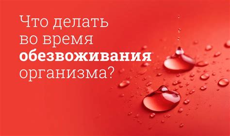 Обезвоживание организма у взрослых: причины, симптомы и лечение