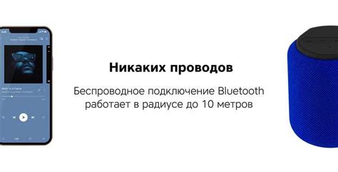 Обзор наушников для собак: основные характеристики и функции