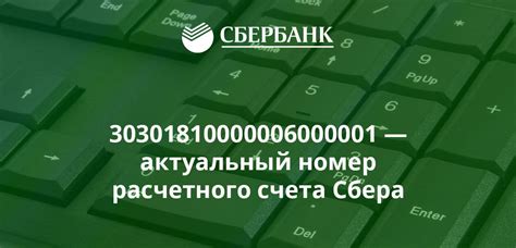 Обзор услуг и возможностей для клиентов с корреспондентским счетом Сбербанка