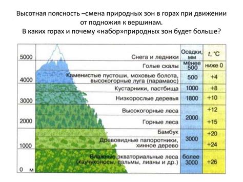 Области высотной поясности 4 класс: подробное описание и особенности