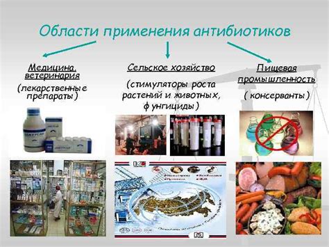 Области применения антибиотиков