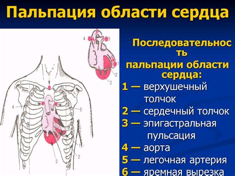 Области применения сердца с перечеркнутым знаком