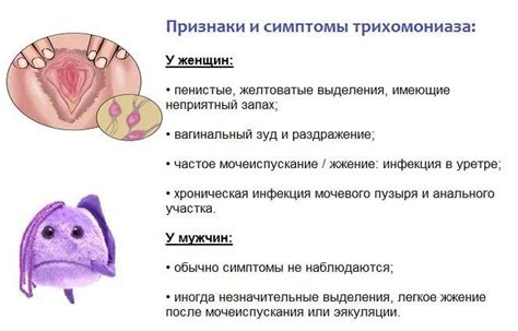 Обнаружение трихомонады у женщины: основная информация и важные рекомендации