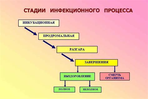 Обнаружено: вирусный инфекционный процесс?