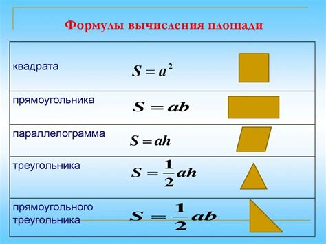 Обоснование формулы для вычисления площади прямоугольника