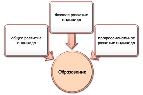 Образование и обширный кругозор