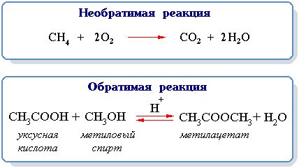 Обратимая реакция и ее значение