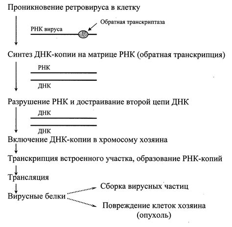 Обратная транскрипция в медицине