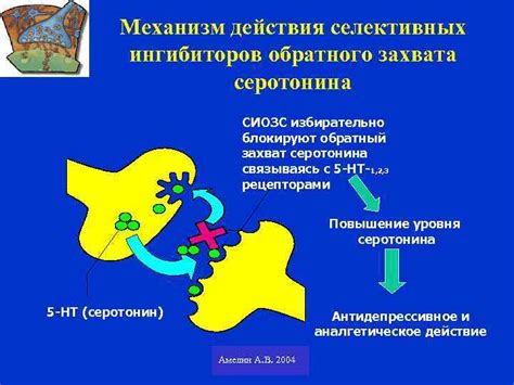 Обратный захват допамина: механизм действия