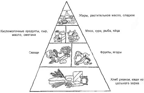 Общая информация о пищевой пирамиде