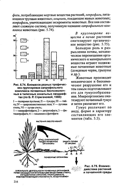 Общая символика растений в снах и их взаимодействие