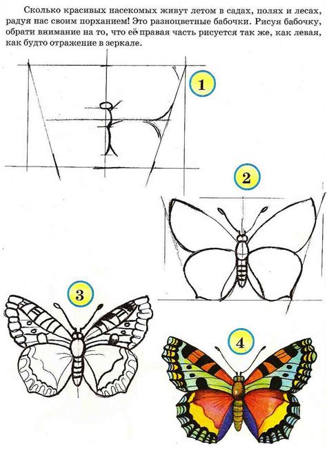 Общее понятие рисования бабочки