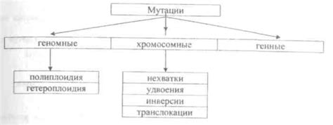 Общие понятия о геномных мутациях