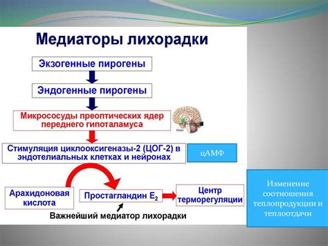 Общие проявления