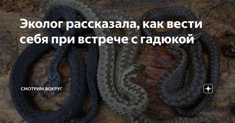 Общие темы и символы, связанные с гадюкой в толковании сновидений