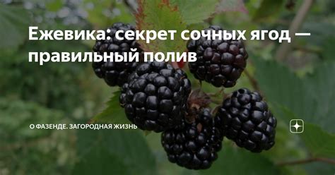 Общие толкования мечты о краже сочных ягод