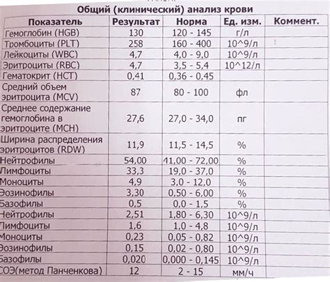 Общий анализ крови: основные показатели