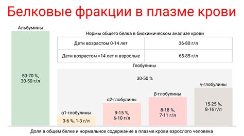 Общий белок крови у взрослого