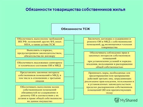 Обязанности и полномочия: