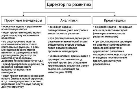 Обязанности и полномочия генерального директора