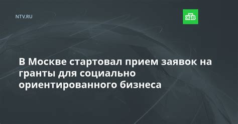 Обязанности социально ориентированного бизнеса