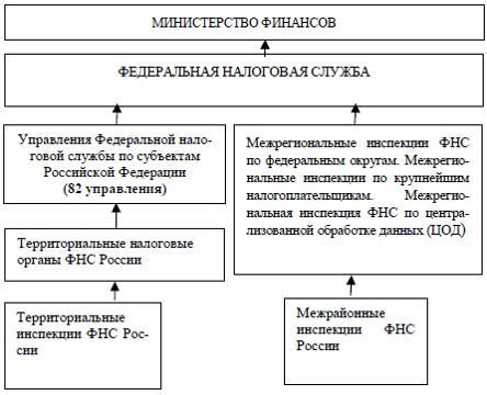 Обязанности фискальных органов